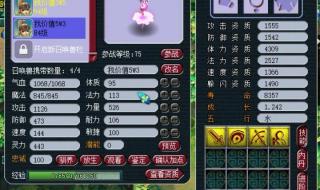 梦幻西游人最多的区